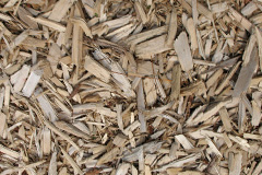 biomass boilers Dundeugh
