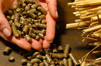 free Dundeugh biomass boiler quotes